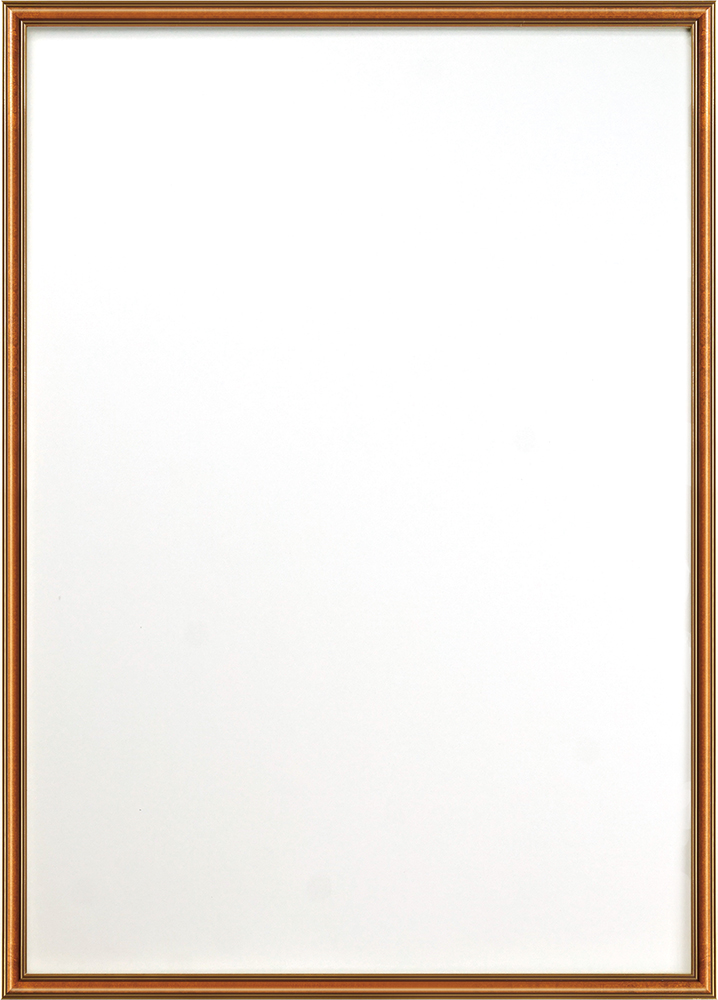 アンティーク調 ポスター フレーム B2 シャンパンゴールド/キャメル