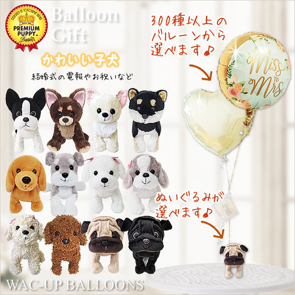 電報 結婚式 柴犬 トイプードル パグ チワワ シュナウザー ダックス