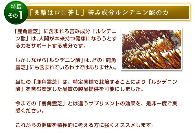霊芝 サプリメント β-グルカン ガノデリン酸 鹿角霊芝（ろっかくれいし