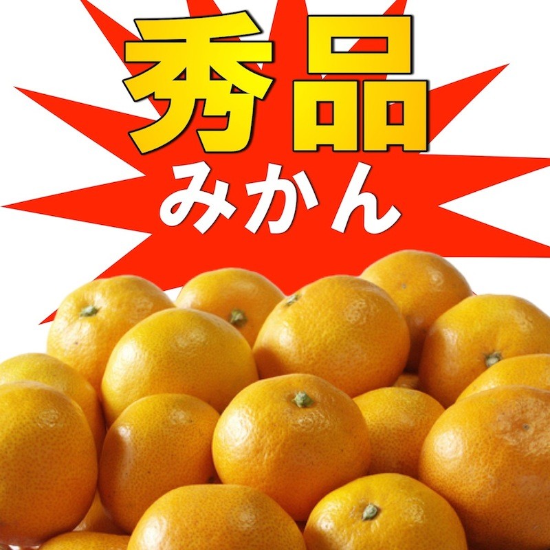 年明け出荷】和歌山県産 みかん ミカン 秀品 10kg（極早生みかん