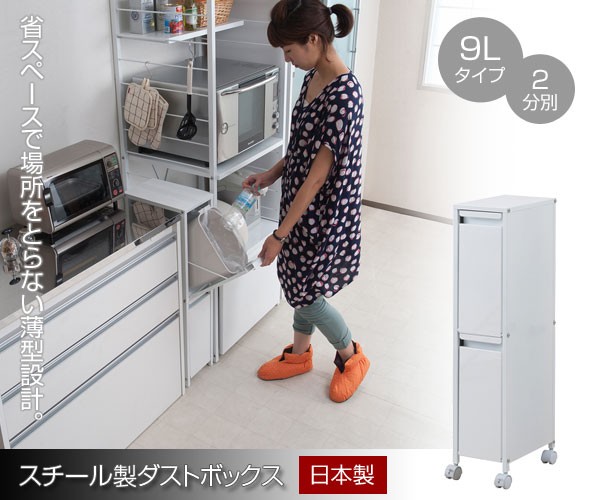 スチール製ダストボックス 分別ゴミ箱 9リットル 2分別 幅20cm ペール