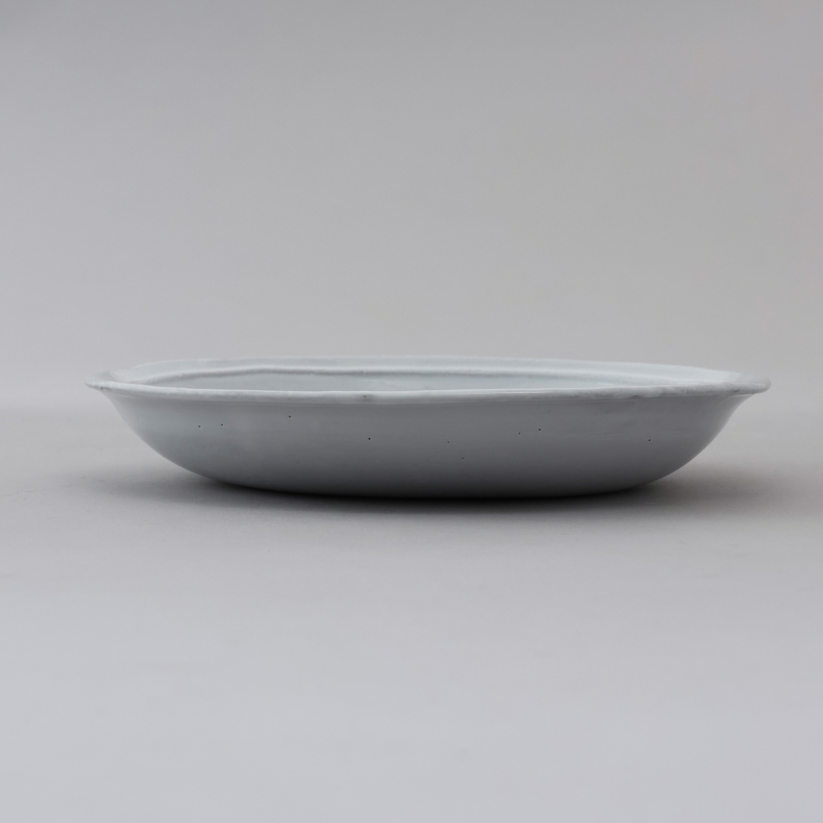 並行輸入 アスティエ・ド・ヴィラット ASTIER de VILLATTE プレート