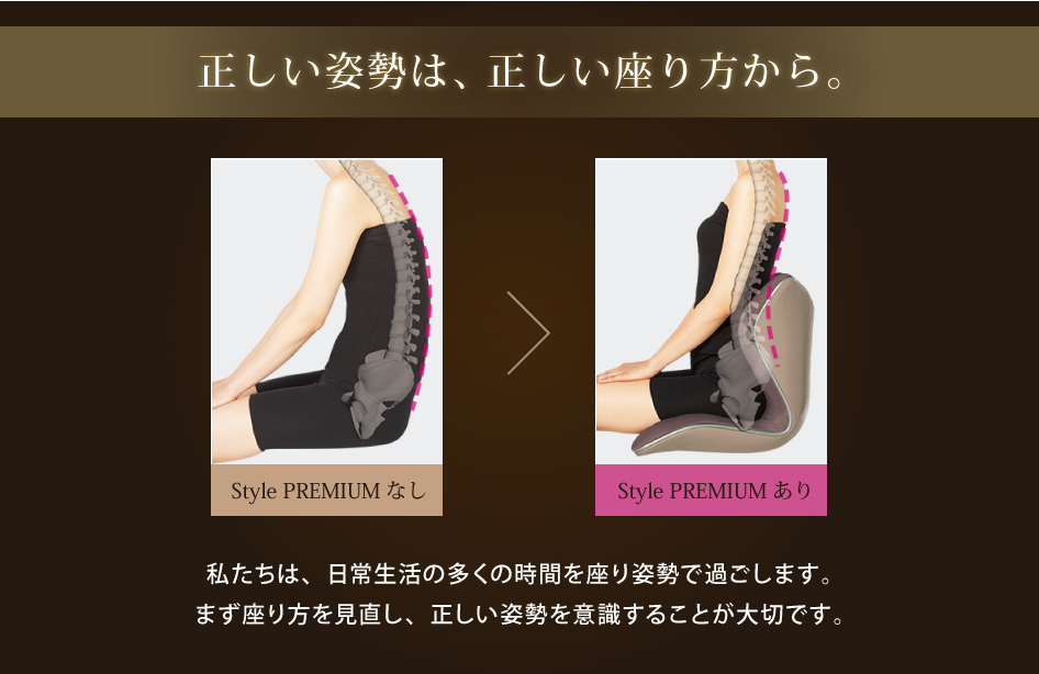 Style（スタイル） 姿勢ケアシート Style PREMIUM プレミアム MTG 骨盤