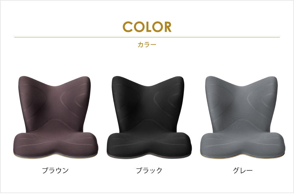 Style（スタイル） 姿勢ケアシート Style PREMIUM プレミアム MTG 骨盤