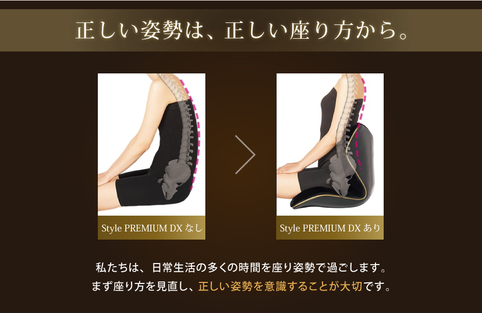 Style（スタイル） 姿勢ケアシート Style PREMIUM DX プレミアム