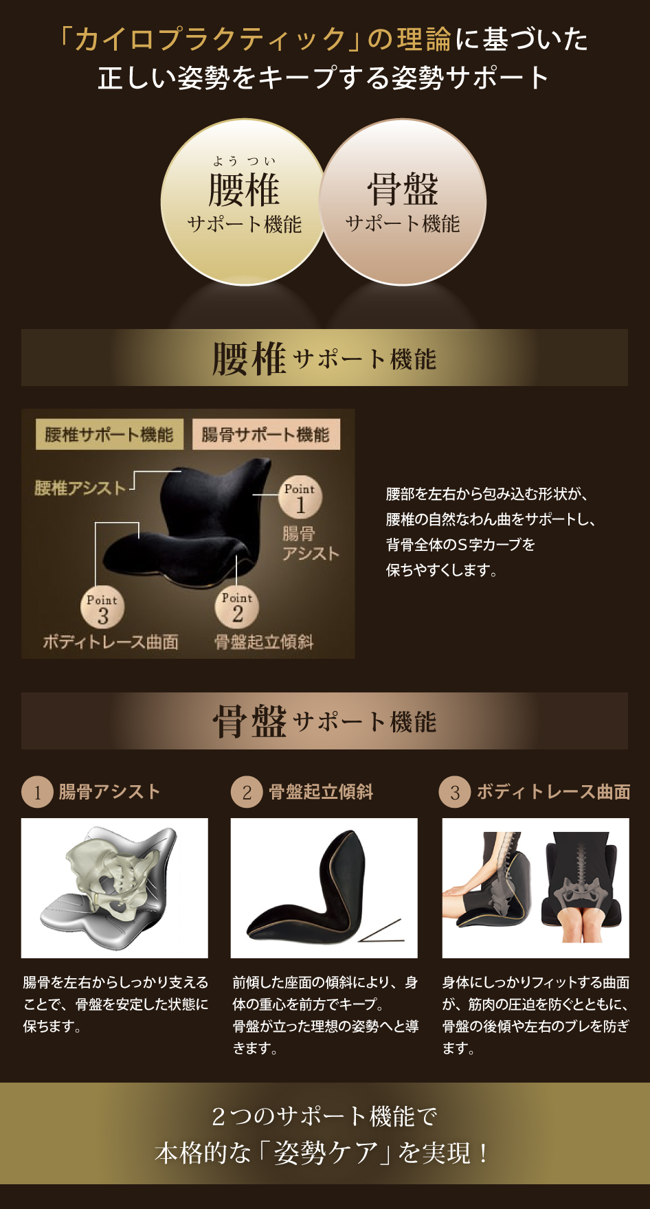 Style（スタイル） 姿勢ケアシート Style PREMIUM DX プレミアム