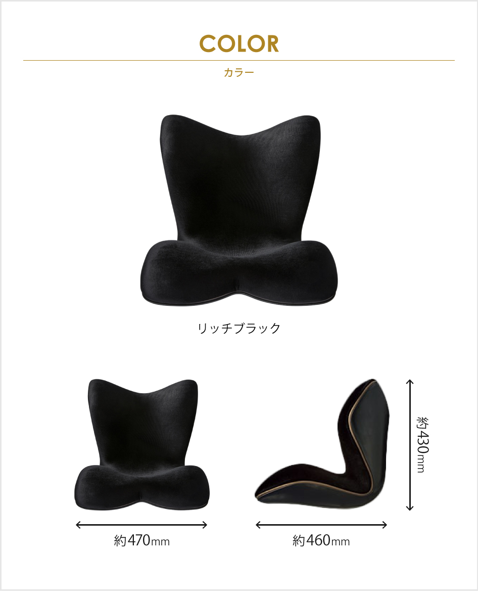 Style（スタイル） 姿勢ケアシート Style PREMIUM DX プレミアム