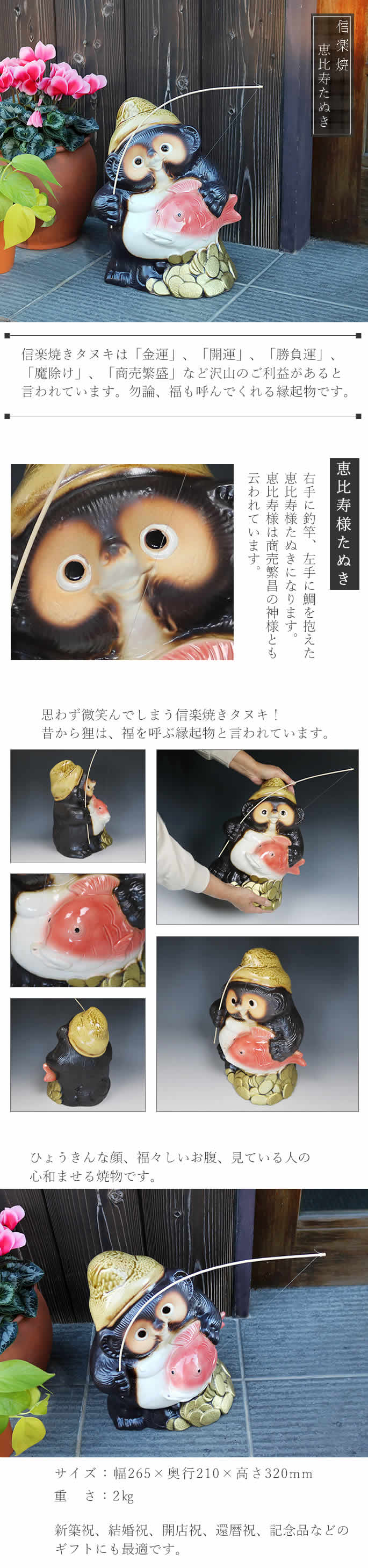 信楽焼 恵比寿狸 七福神 たぬき タヌキ 狸 開運 縁起物 可愛い 恵比須