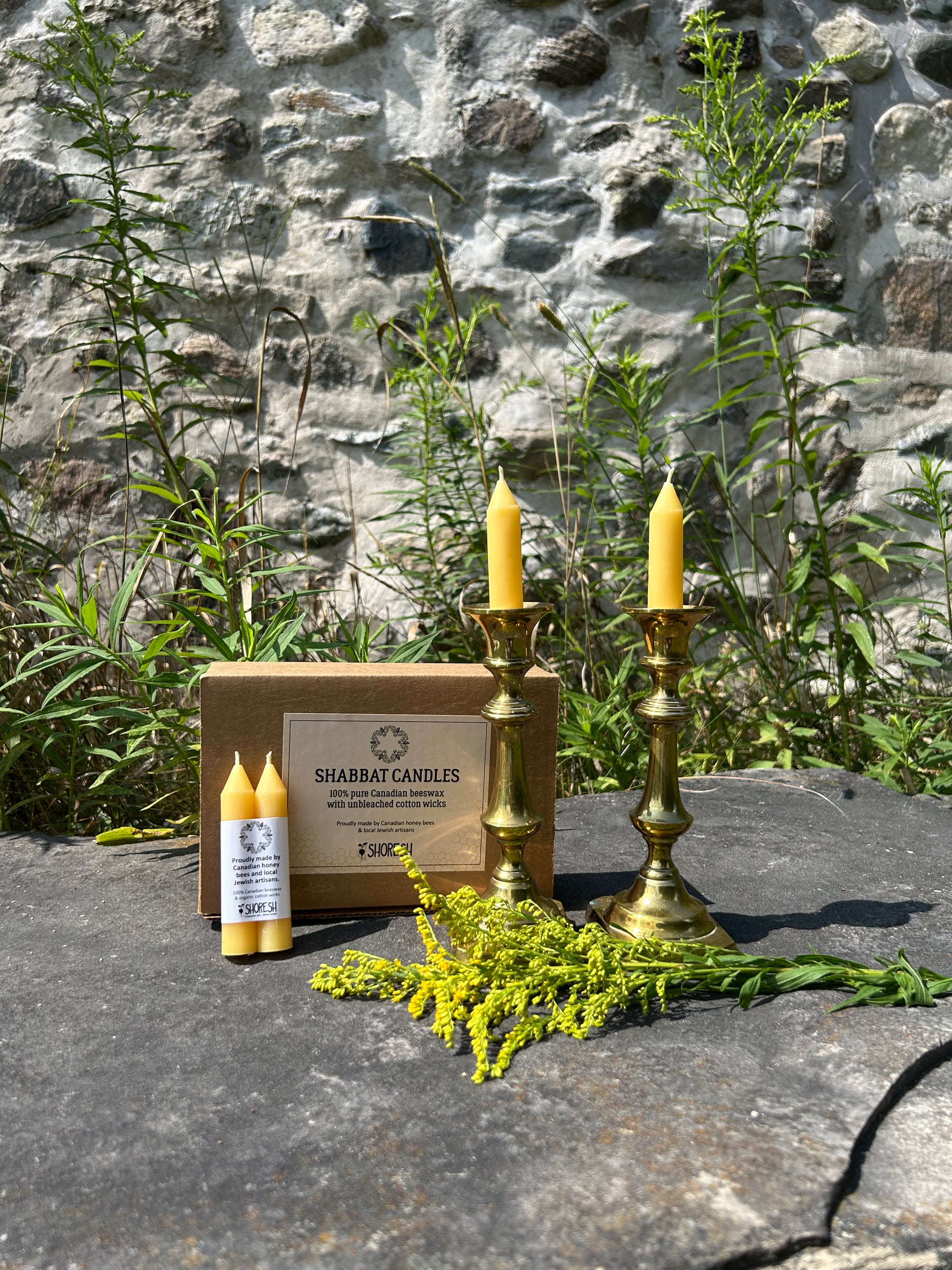 Beeswax Shabbat Candles: Labelled Pairs – Shoresh Shuk