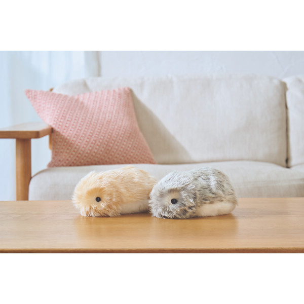 カシオ モフリンゴールド | シャディギフトモール