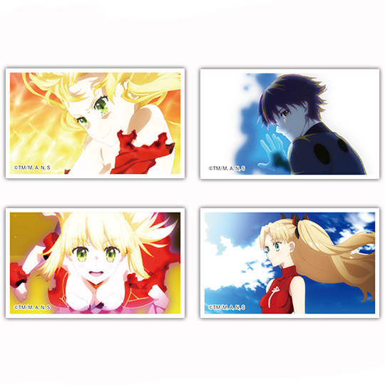 Fate アニメジャパン限定アクリルバッジ アイリスフィールレア