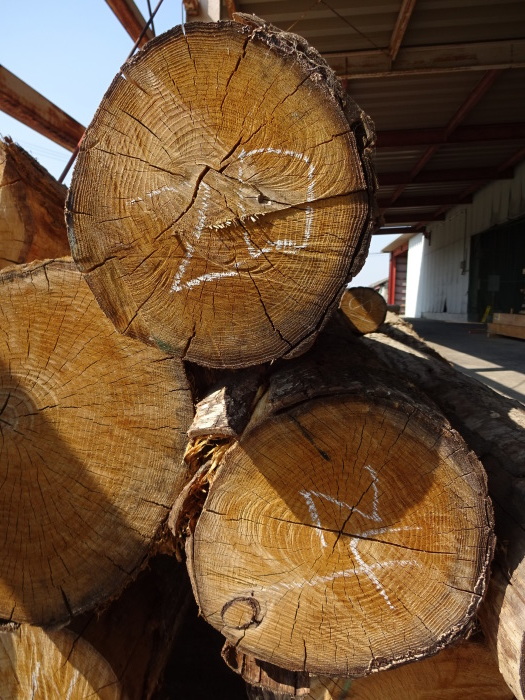 栗の丸太 桜の丸太 - 新発田屋 木材倉庫