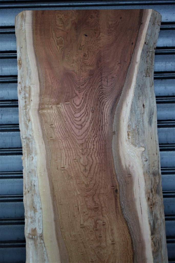 欅 決して極上ではない玉杢 - 新発田屋 木材倉庫