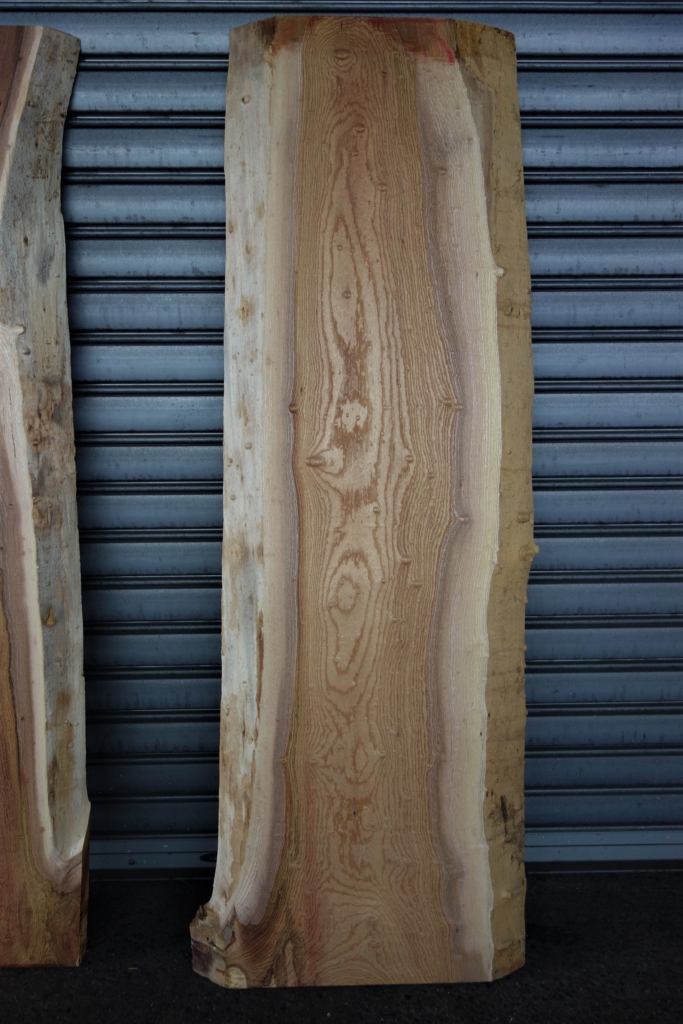 欅 決して極上ではない玉杢 - 新発田屋 木材倉庫