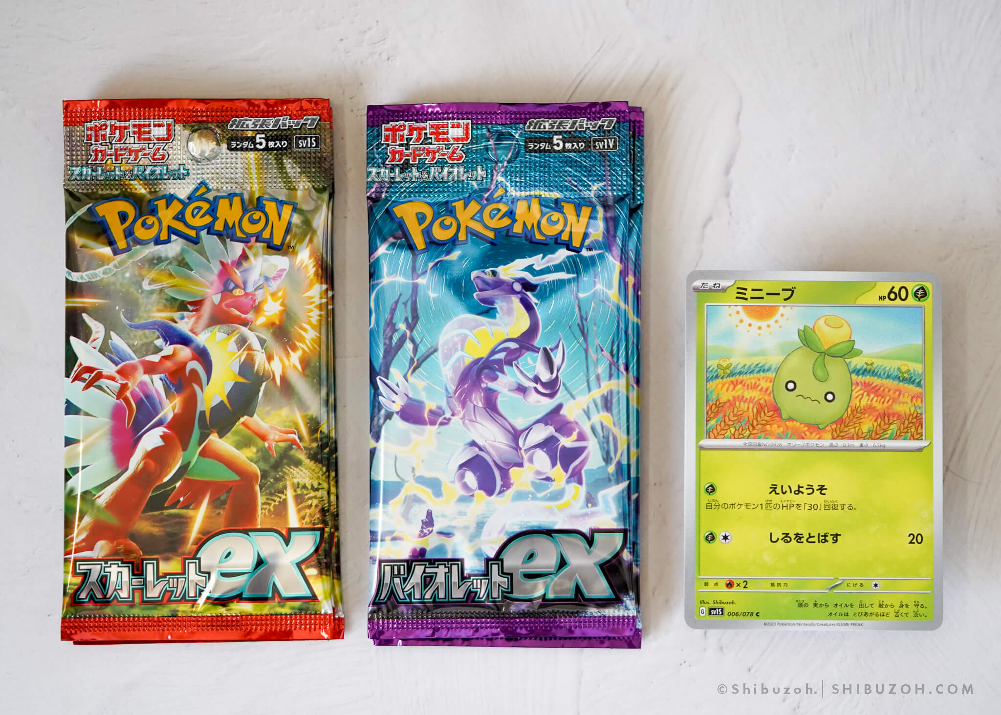 ポケモンカードゲーム「ミニーブ」 | Shibuzoh.