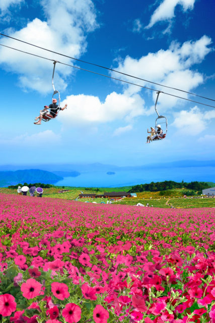 突き抜ける開放感！虹のカーテンやお花畑もある、夏の絶景スポット