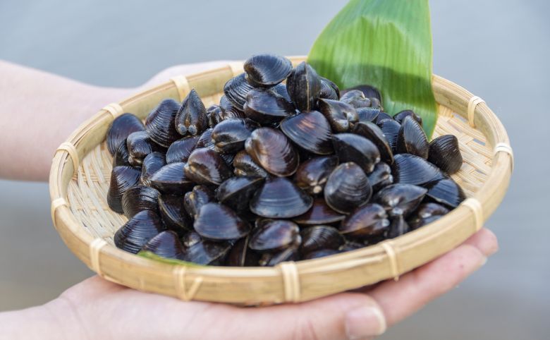 しじみの種類で栄養や味は変わる？ヤマト・セタ・マシジミの特徴3選