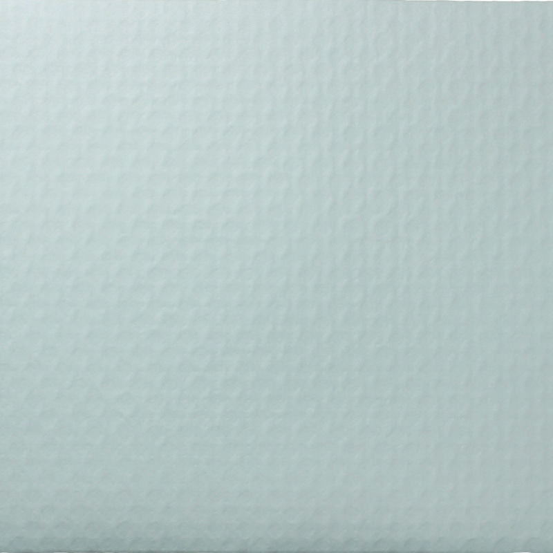 睦化学工業 食品用シート 魔法のシート Z20 300×400 500枚/袋（ご注文