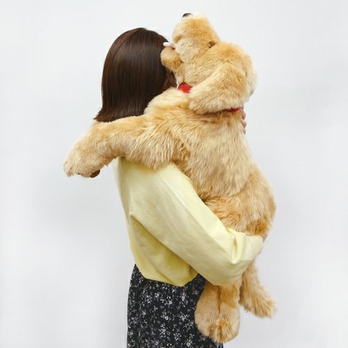 在庫切れ】吉徳 ゴールデンレトリバー Lサイズ – 日本の老舗通販．net