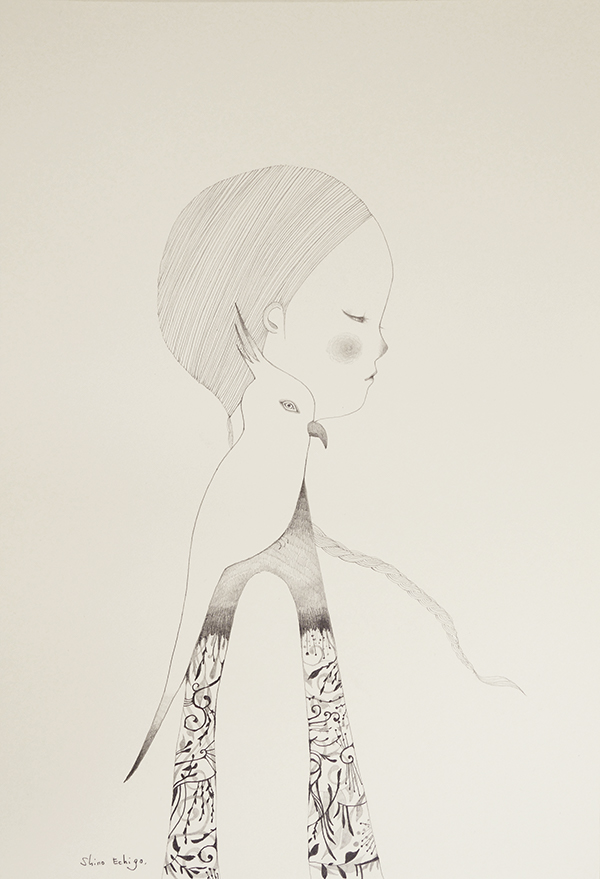 越後しの 鉛筆画作品