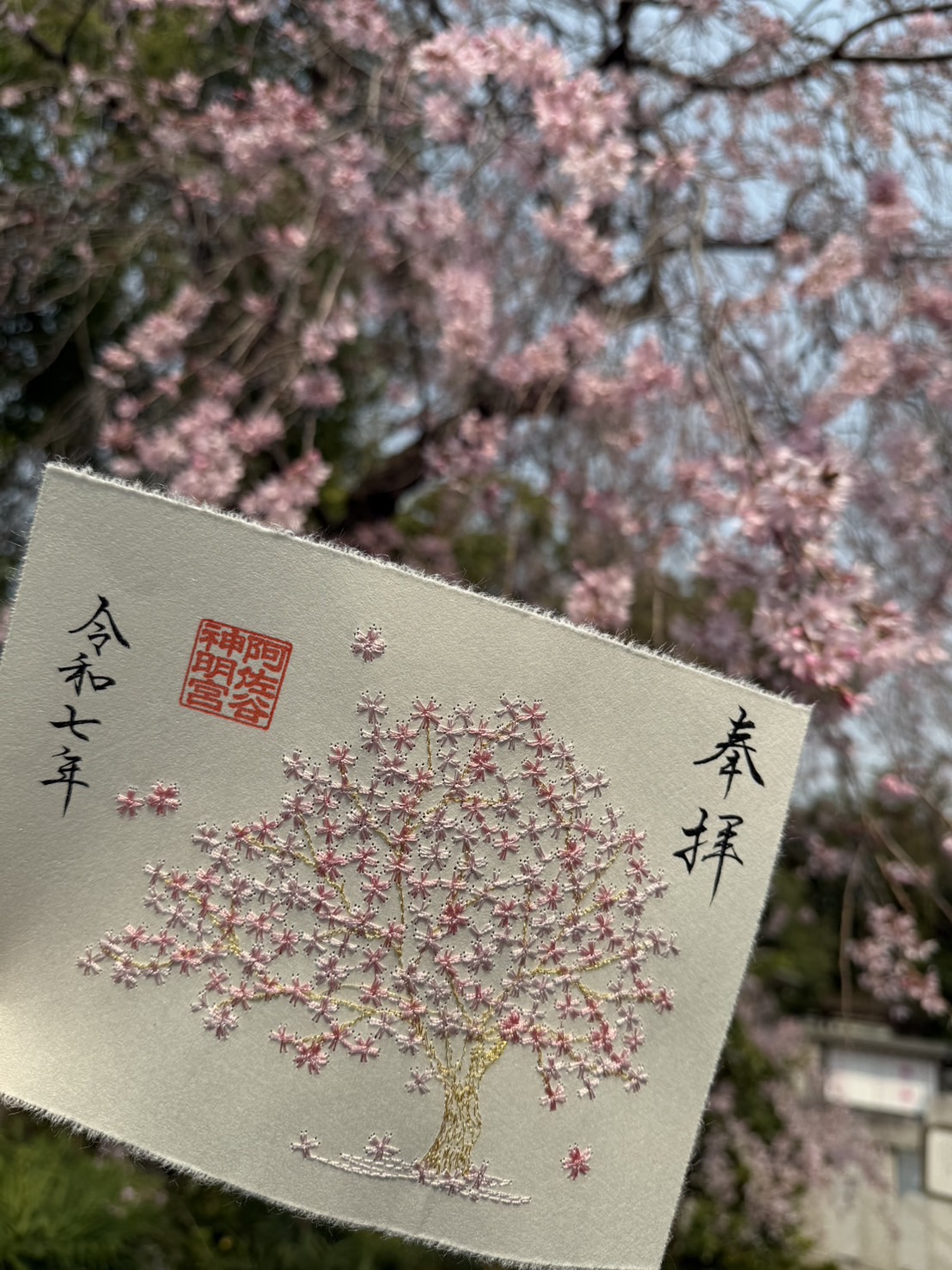 桜特別限定御朱印『花霞(はながすみ)』 頒布のお知らせ – 阿佐ヶ谷神明