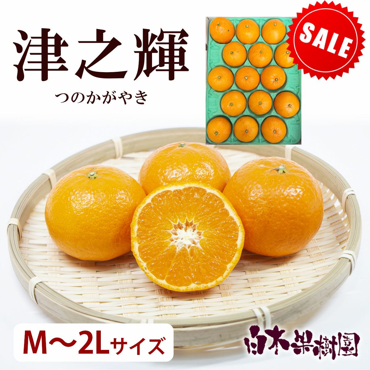 20％OFF＞【セール品】津之輝（つのかがやき）ご家庭用 M～2Lサイズ約