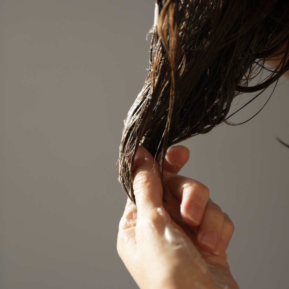 SUNNY MORNING トリートメント | SHIROオフィシャルサイト