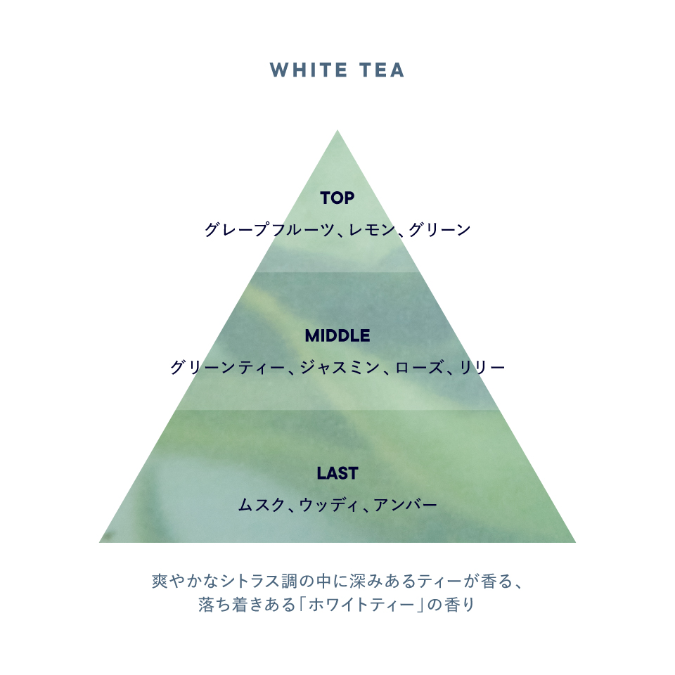 ホワイトティー フレグランスディフューザー リキッド | SHIRO