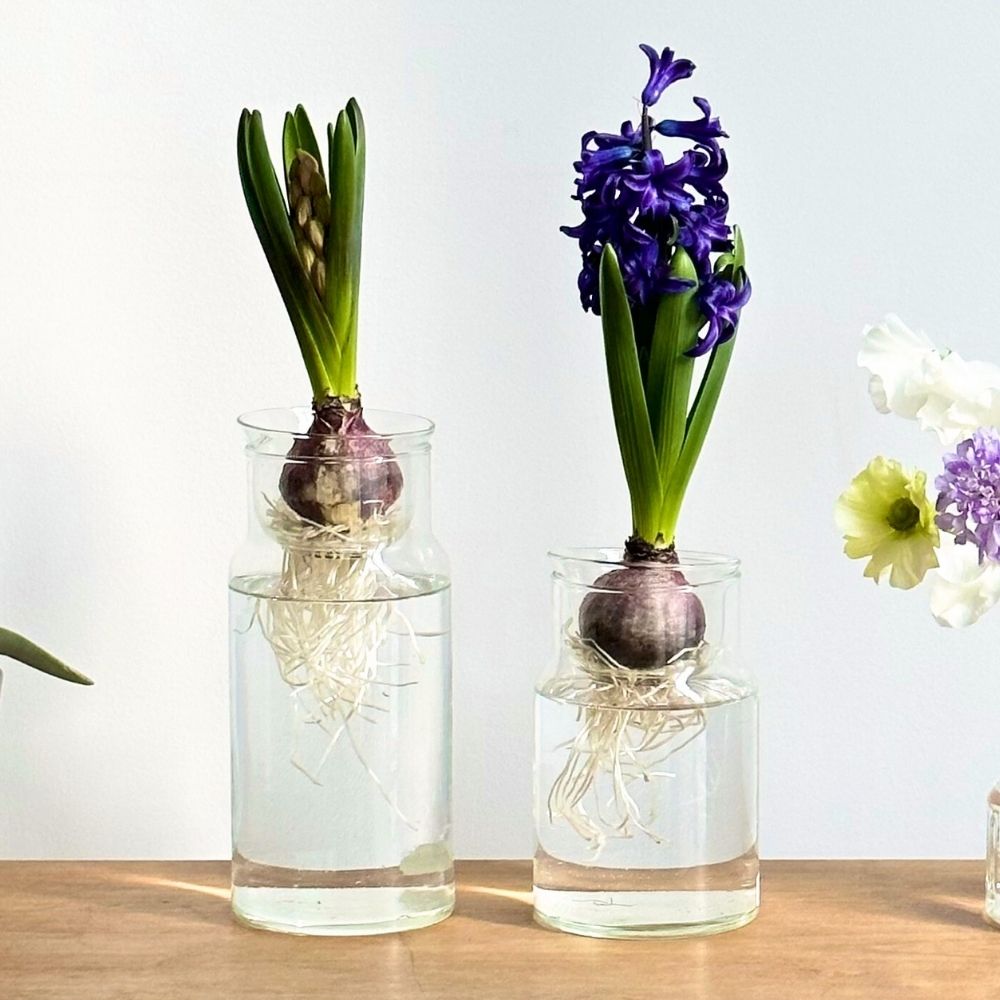 フラワーベース（花瓶） | shesay(志成販売)｜インテリア