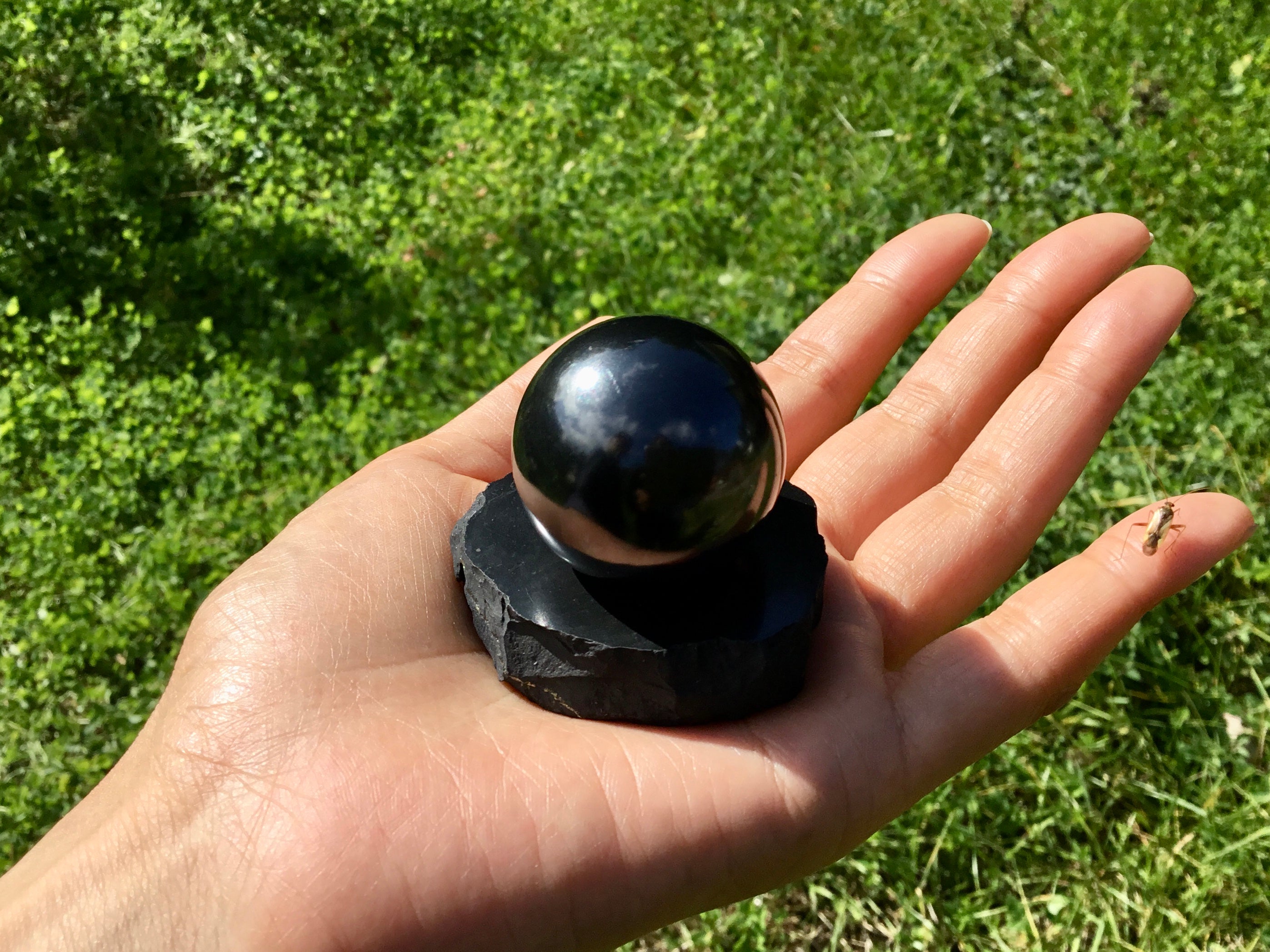 ハーモナイザー – シュンガイトセンタージャパン