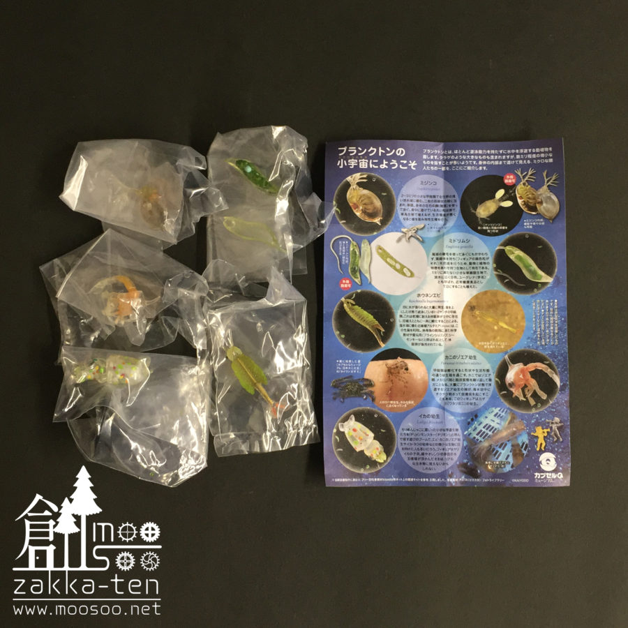 ミクロコスモス～プランクトン大全～ | 博物と古物の奇妙な雑貨店