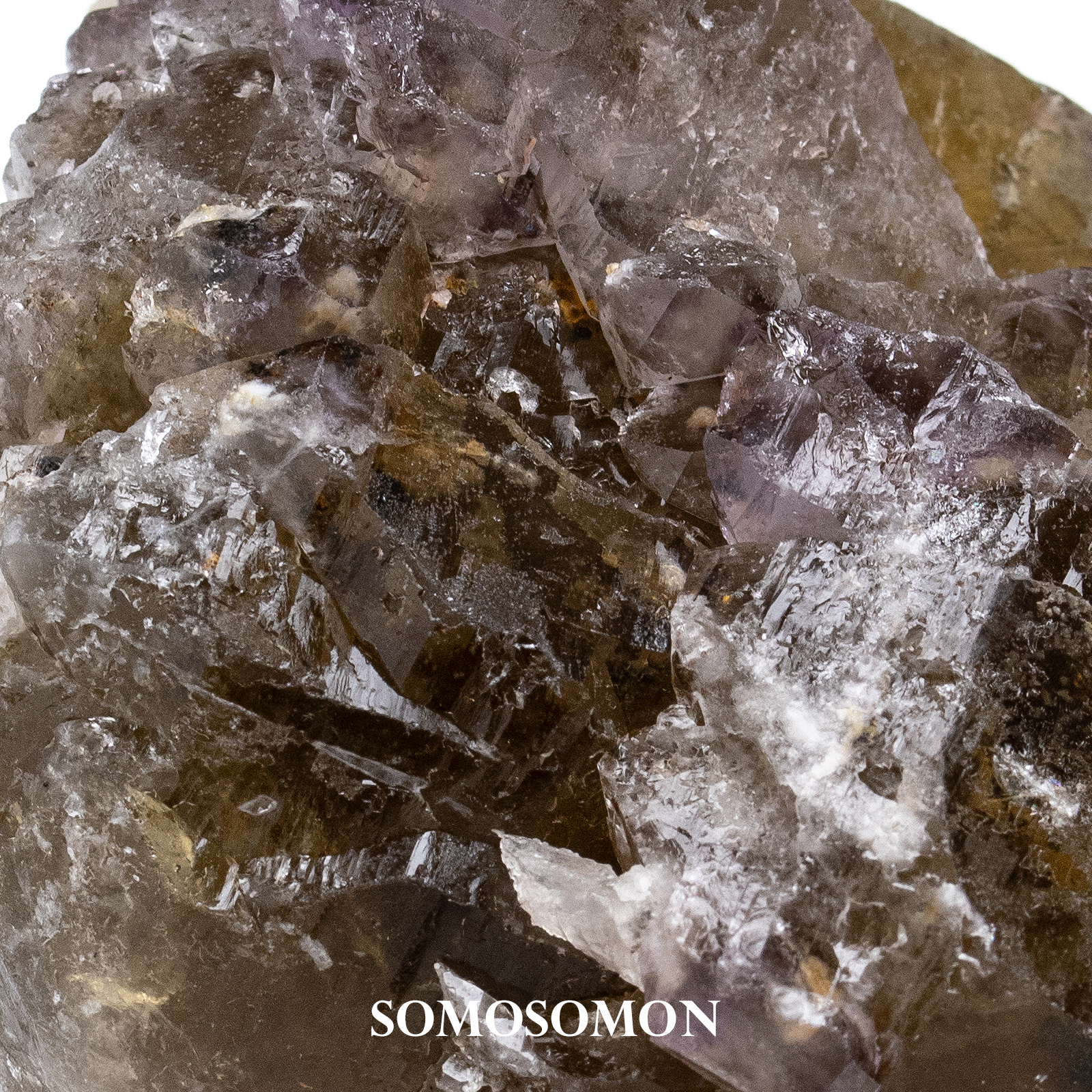 スーパーセブン セイクリッドセブン ブラジル エスピリトサント産