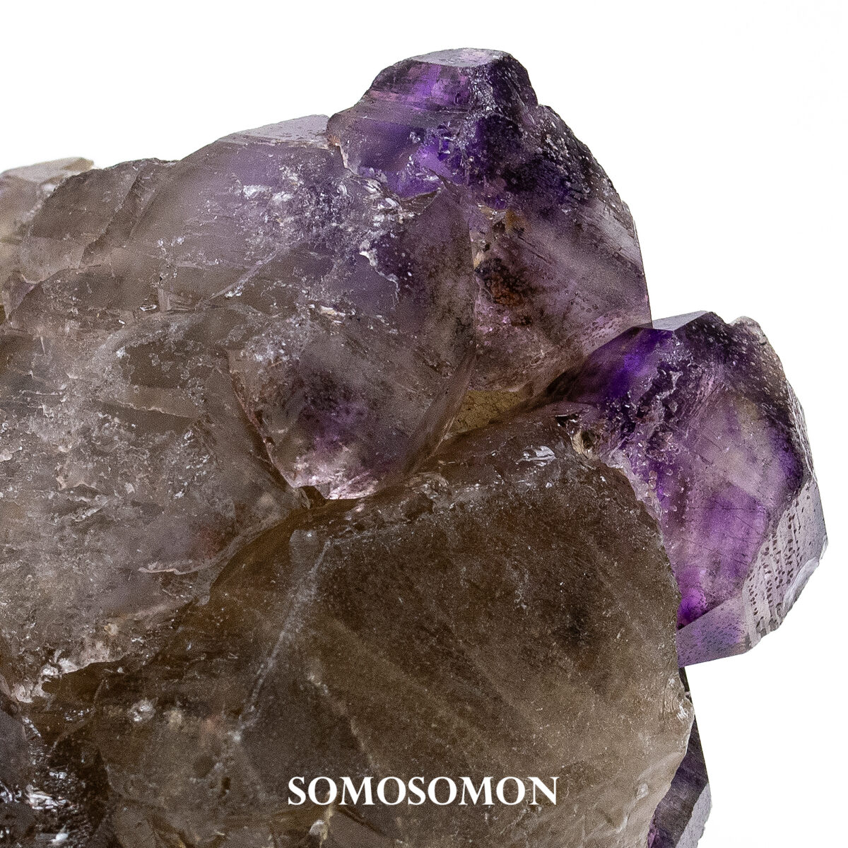 スーパーセブン セイクリッドセブン ブラジル エスピリトサント産