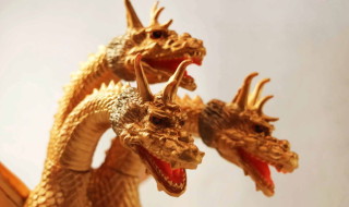 クリエイティブデザイン羽沢組 | sofvi.tokyo