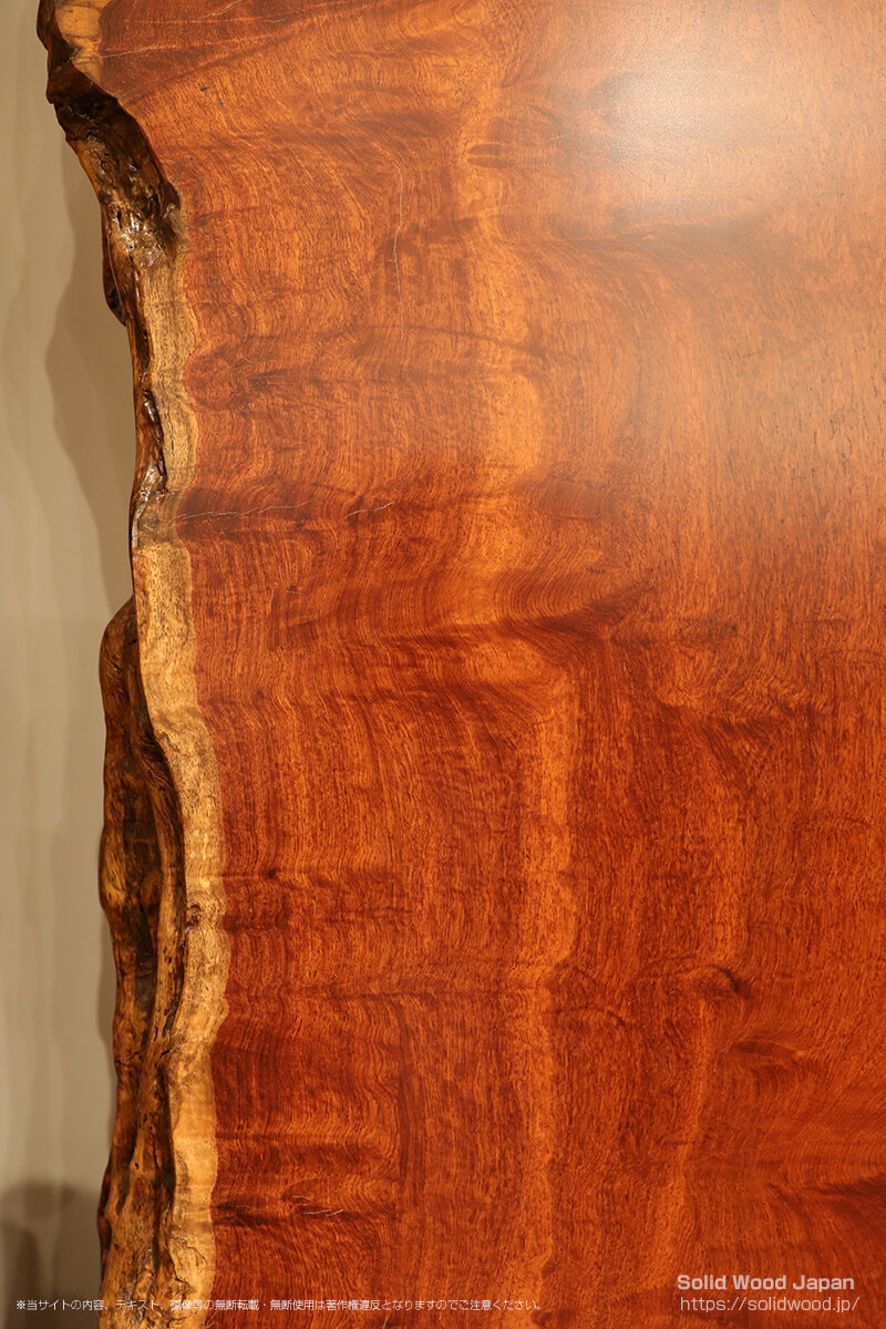 カリン（花梨）の一枚板 | 無垢材とは | 一枚板比較
