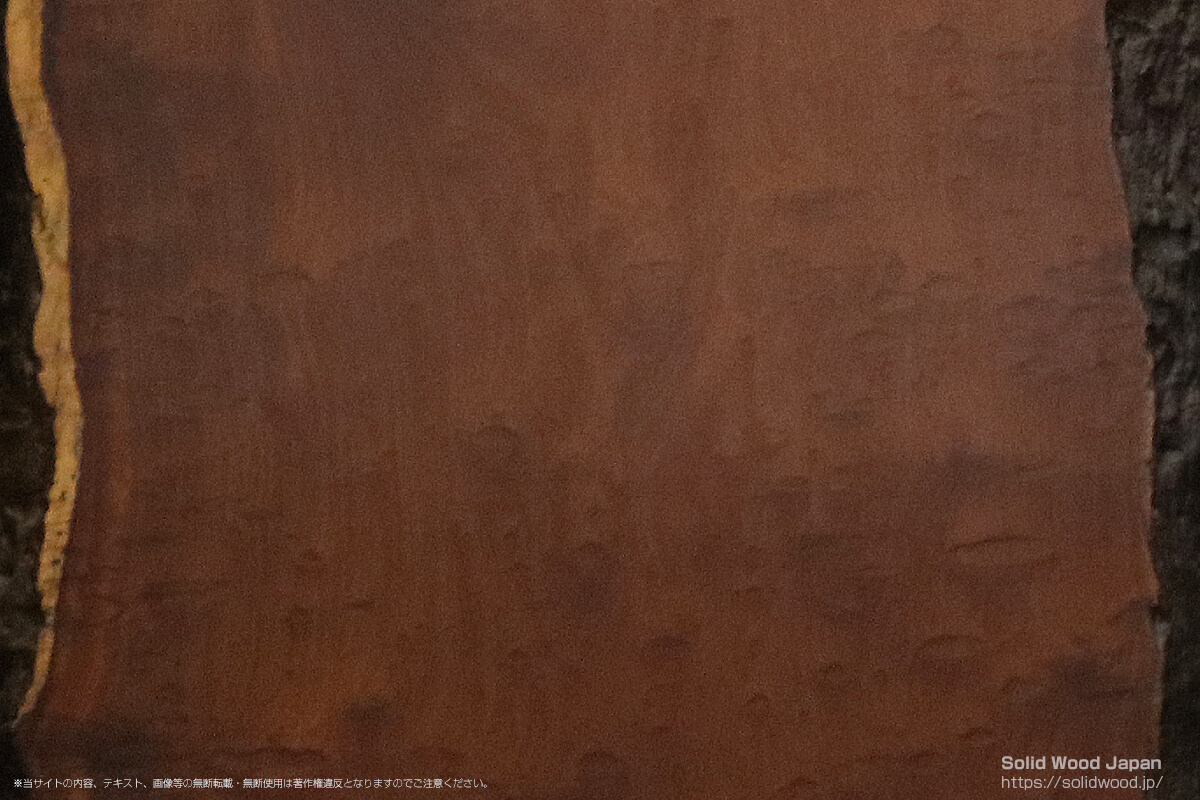 カリン（花梨）玉杢の一枚板 | 無垢材とは | 一枚板比較