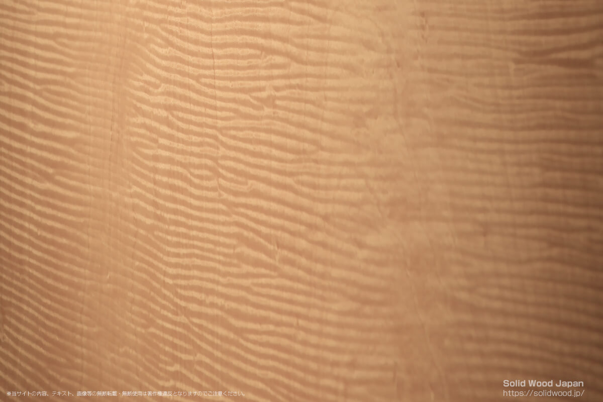 トチチヂミ（栃縮杢）の一枚板 | 無垢材とは | 一枚板比較