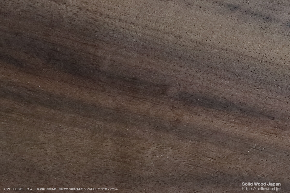 ジンダイクス（神代楠）の一枚板 | 無垢材とは | 一枚板比較