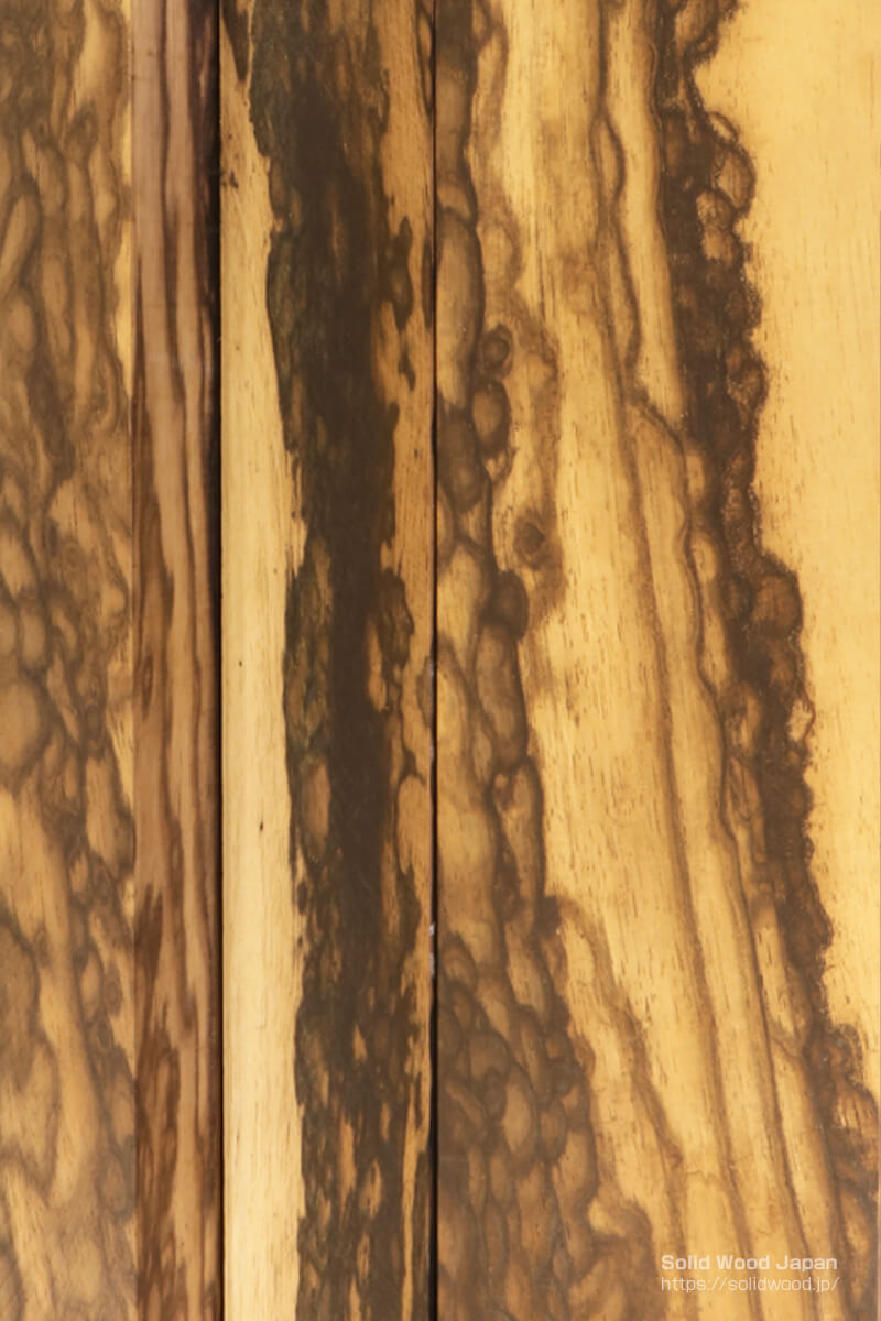 柿（かき）・黒柿（くろかき）について | 世界の一枚板 | 一枚板比較