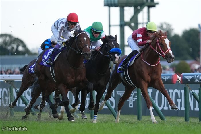 ジャパンカップ】世界よ、これが日本競馬だ！武豊＆ドウデュースが堂々