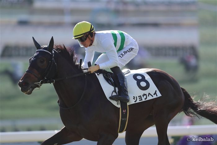 きさらぎ賞】重賞最強データ！先週シルクロードS爆穴ワンツーの「部門1