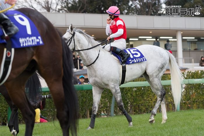 ゴールドシップ - Gold Ship - 競走馬データベース | 競馬ラボ