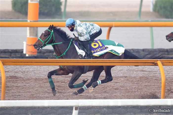 シュヴァルグラン - Cheval Grand - 競走馬データベース | 競馬ラボ