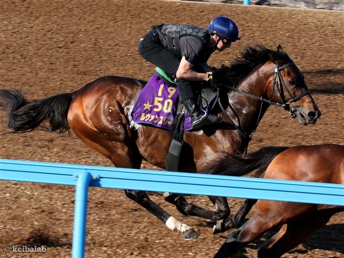 ルヴァンスレーヴ - Le Vent Se Leve - 競走馬データベース | 競馬ラボ