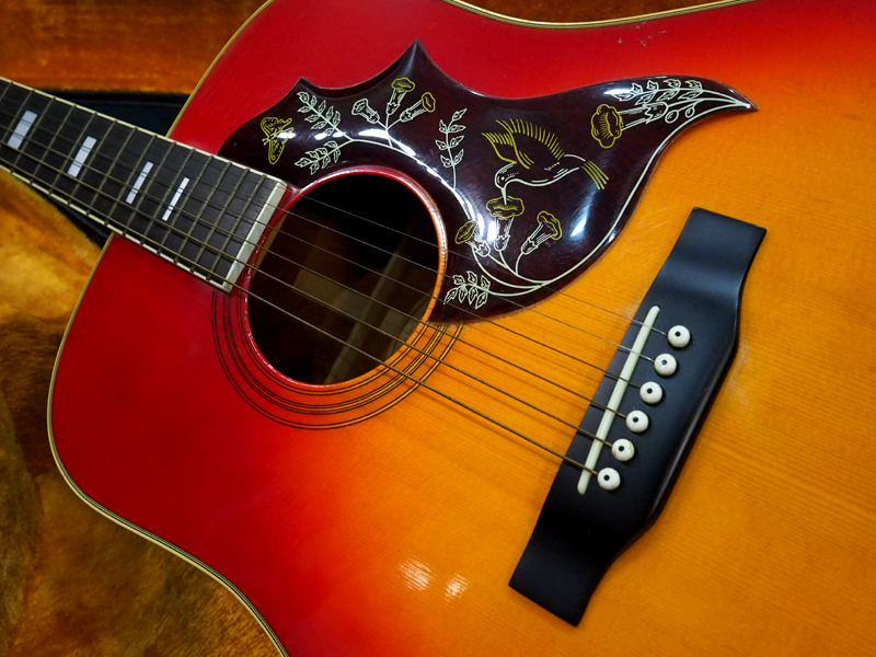 Morris WH-20 1980年代 中古 1214931 Morris(モーリス)【楽器検索｜J