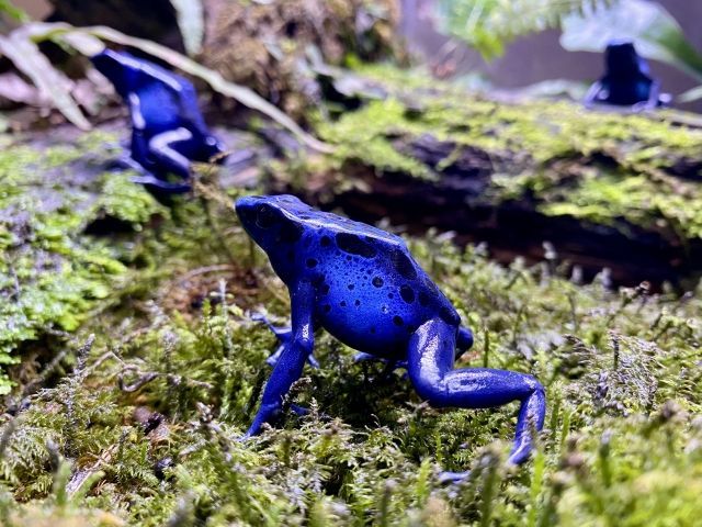 KawaZoo(カワズー) 営業時間、料金、地図・アクセス情報｜動物園