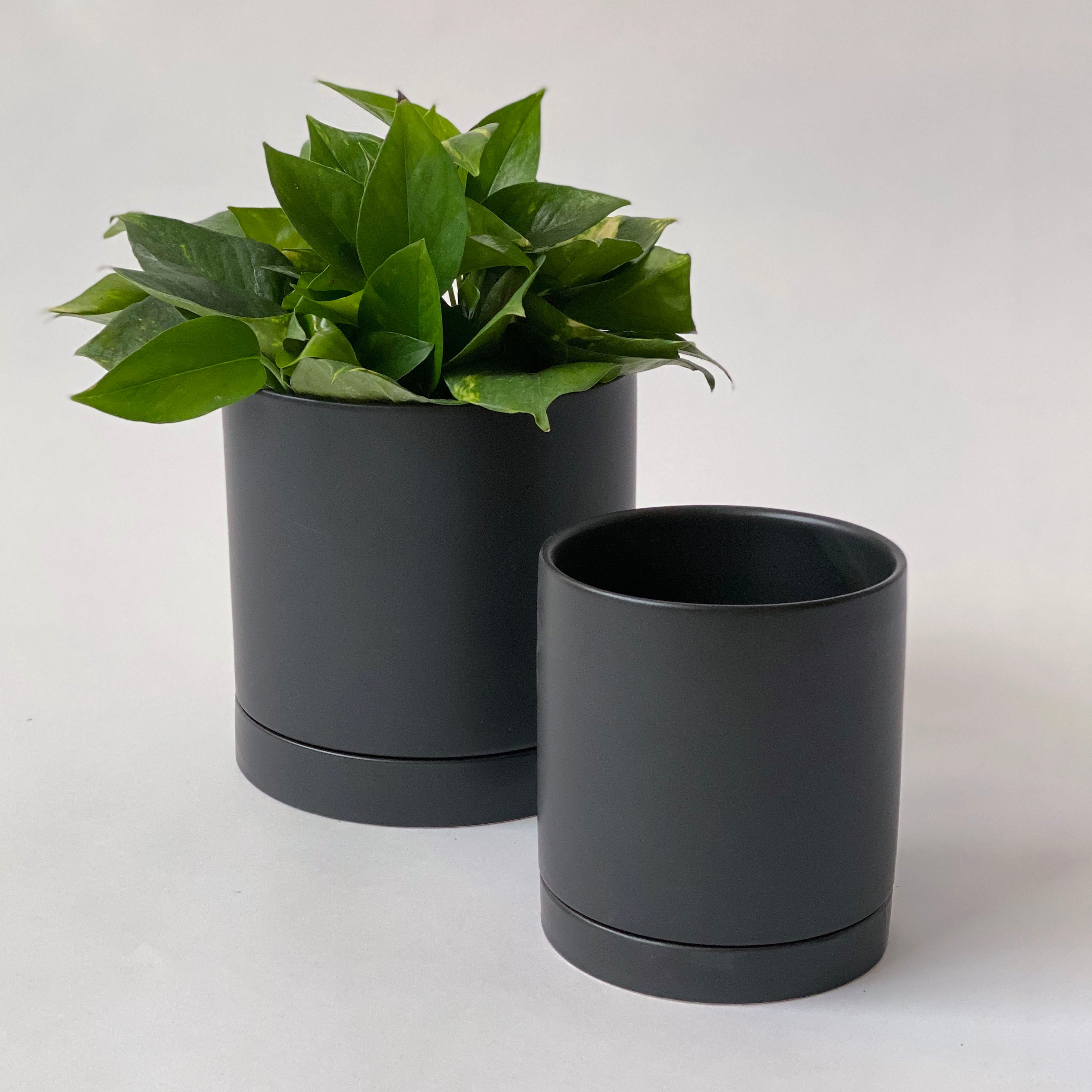 Ceramic Potting Pots & Planters - Spruce Flowers and Events