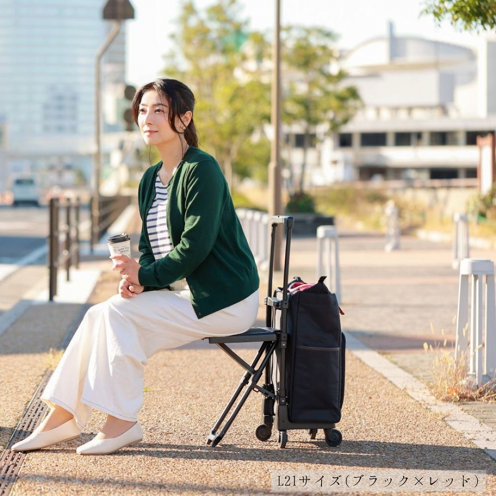 D-630 ポルド (L21) ブラック×ブラック <T2キャスター・4輪ストッパー