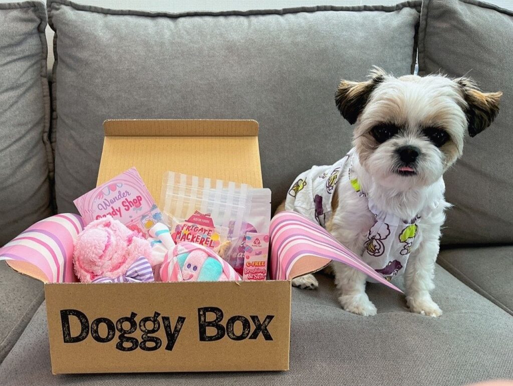 ワンちゃんのためのワクワク定期便「Doggy Box ( ドギーボックス
