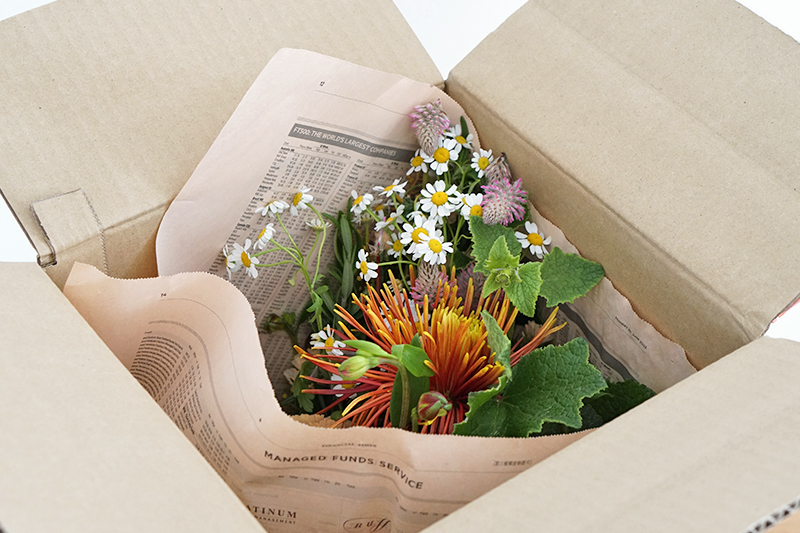 花のサブスク】季節のこだわり花！ミックス お花の定期便 (hana-naya